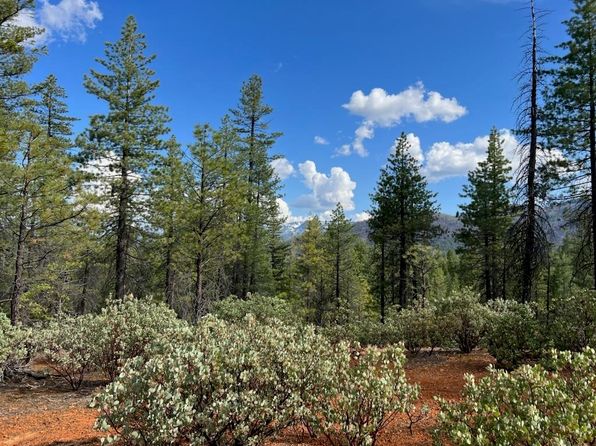 876 Blue Knoll Rd, Greenville, CA 95947
