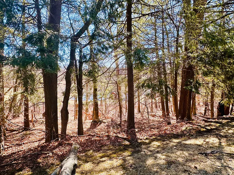 410 Barbara Dr — Photo 14