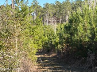 0 Delancy Rd, Braxton, MS 39044