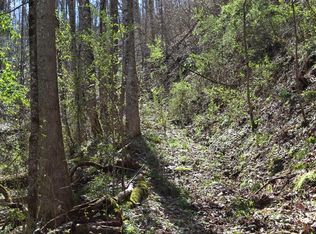 Gossamer Rd, Cosby, TN 37722