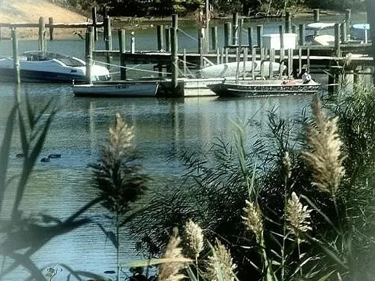 15 Running Ct — Photo 9