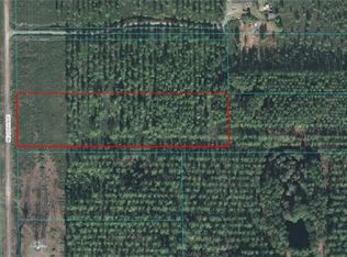 TRACT 23 NE 125th Ave, Fort Mc Coy, FL 32134