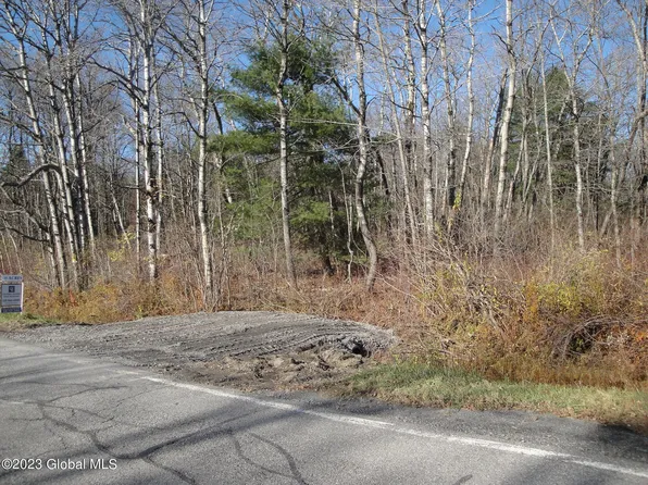 L25 County Route 410, Westerlo, NY 12193