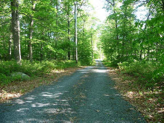 Private driveway - secluded