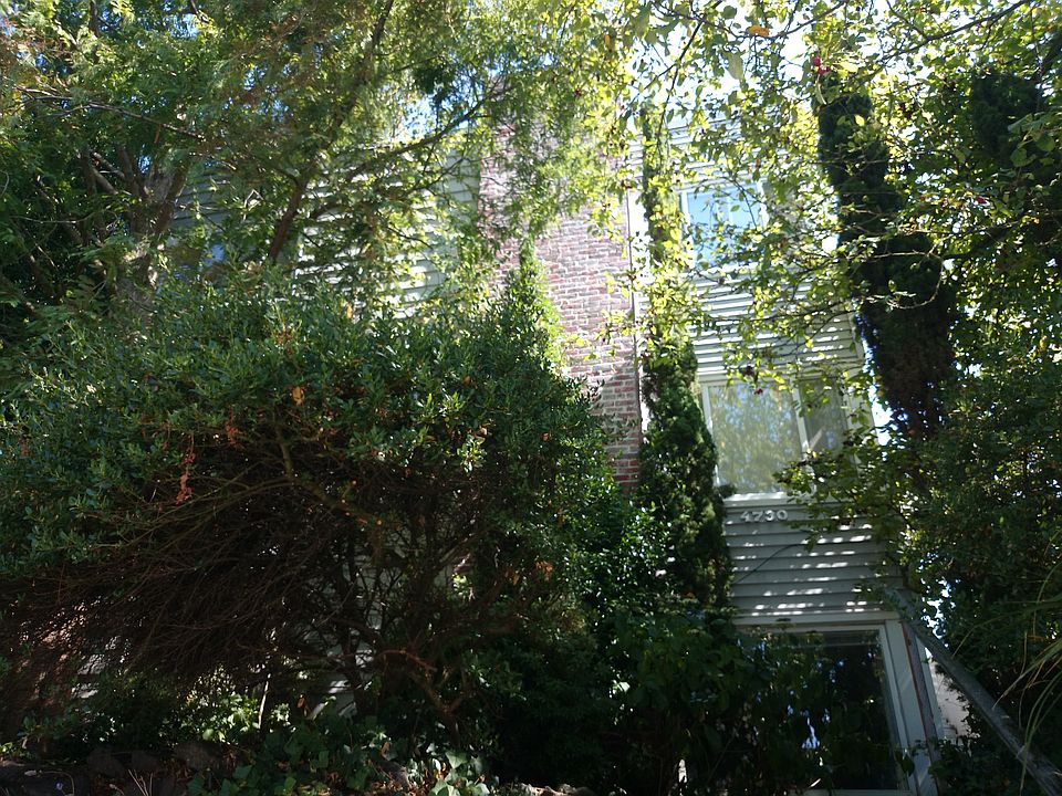1st image of 4730 15th Ave NE