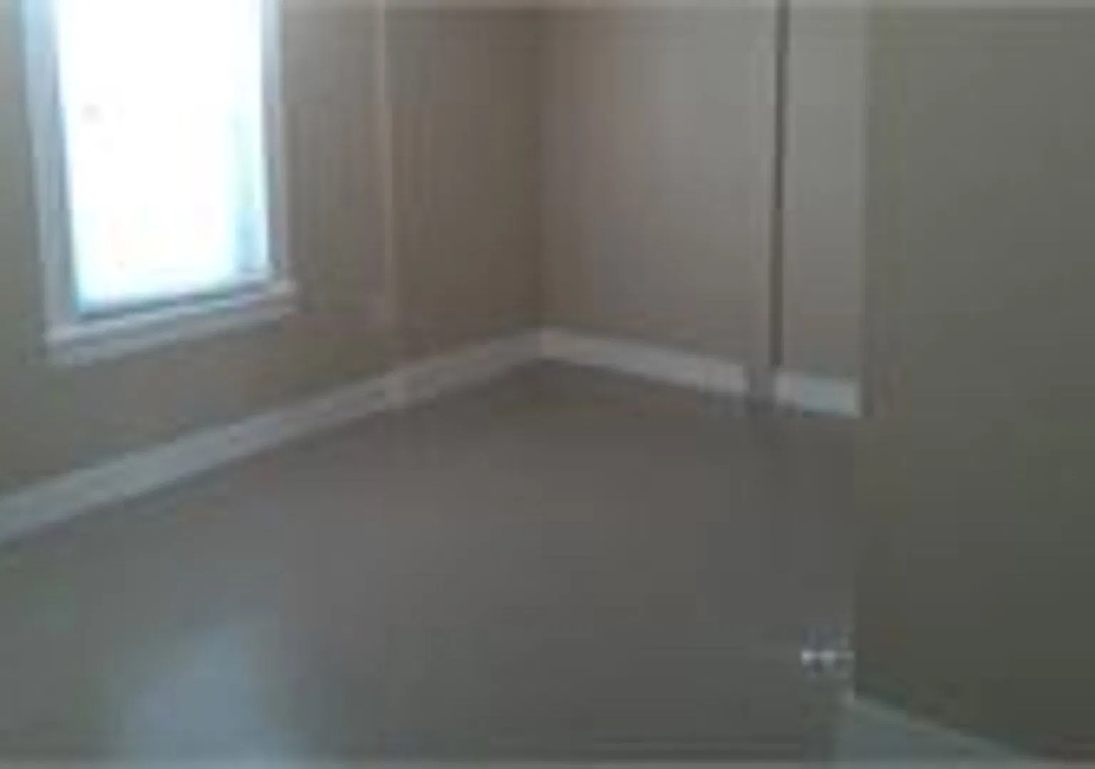 1 bed, $1,350 — Photo 4