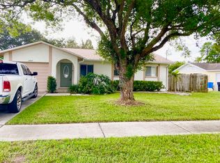 2407 Washington Rd, Valrico, FL 33594