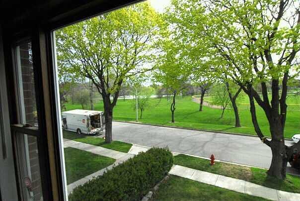 Park View