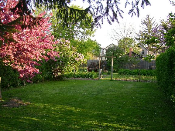 blooming yard & garden behind