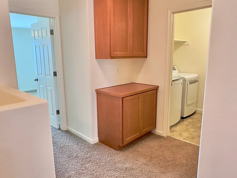 209 Blossom Rock Ln — Photo 18