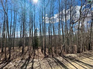 1293 Spring Glade Rd LOT 11, Fairbanks, AK 99709