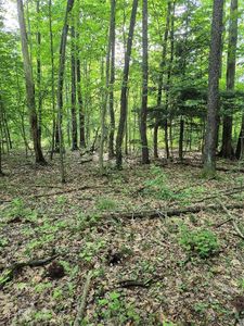 LOT 3 Biscoff Rd, Albion, PA, 16401