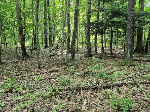 LOT 3 Biscoff Rd, Albion, PA 16401