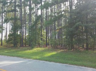 0 Parrish Pond Rd, Twin City, GA 30471