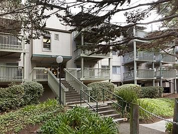 2nd image of 377 Mandarin Dr APT 213