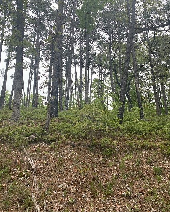 2nd image of Canyon Village Rd #6