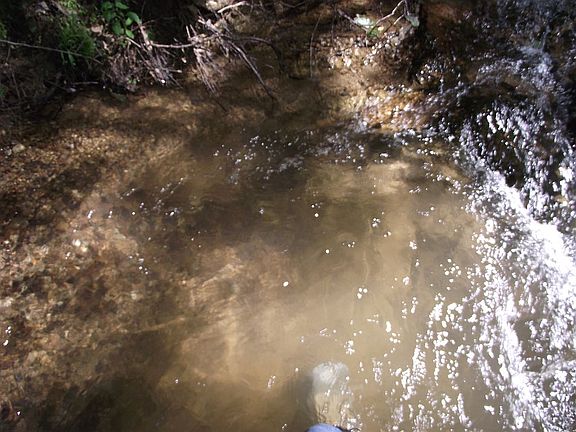 Bold Stream after rain