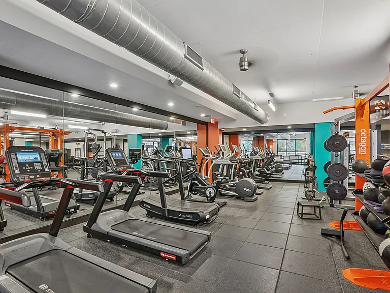 The Arnold — Photo 14