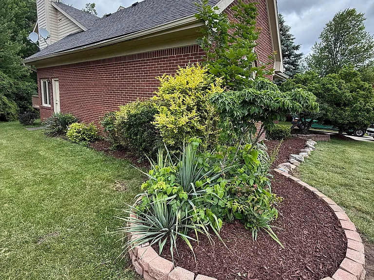 7782 Watford Dr — Photo 3