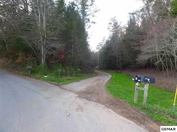 Stinnett Ridge Rd, Cosby, TN 37722