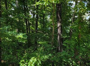 12-13 Griffin Rd, Hardy, AR 72542