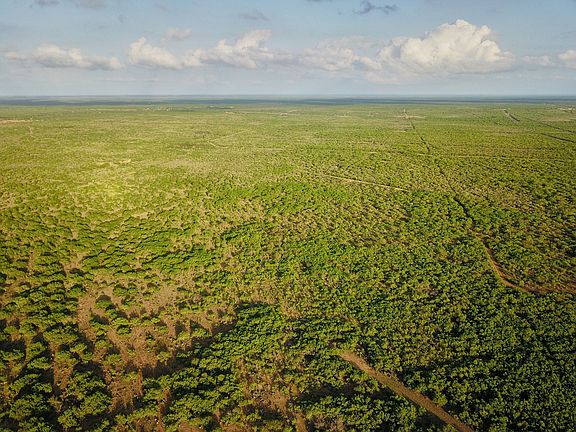 Incredible road system for hunting