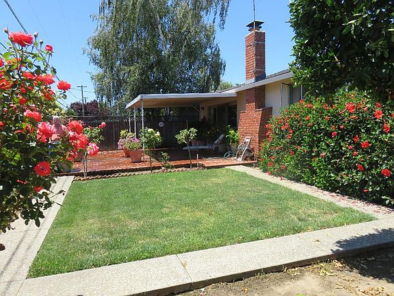 Rear Yard