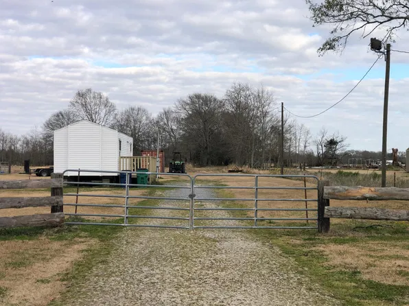 187 Ginger Rd, Iota, LA 70543