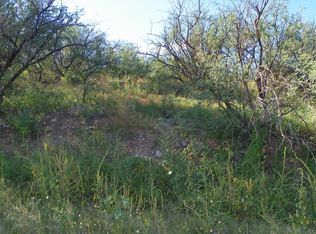 498 Camino Hombre De Oro, Rio Rico, AZ 85648