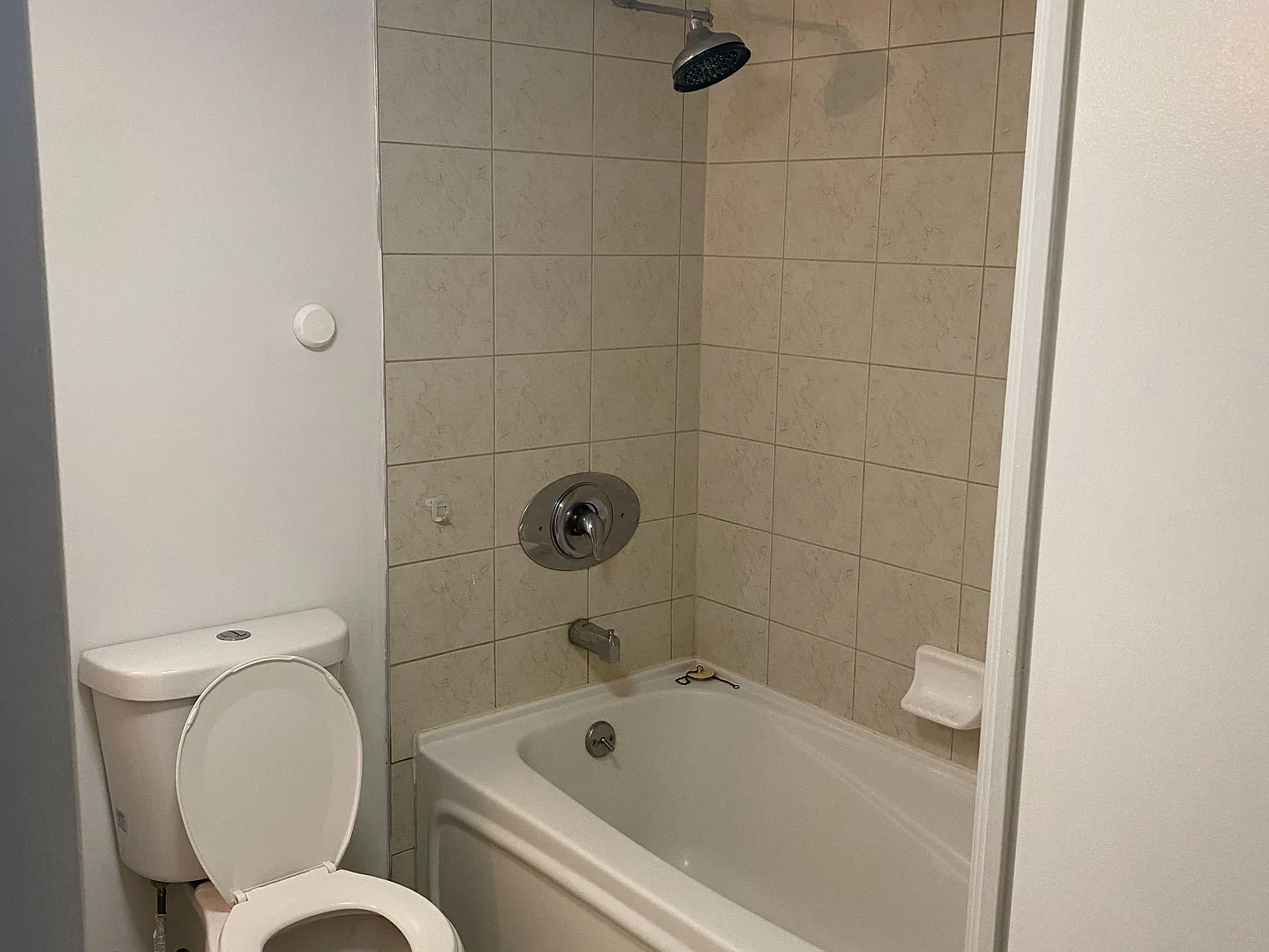 Studio, $2,050 — Photo 3