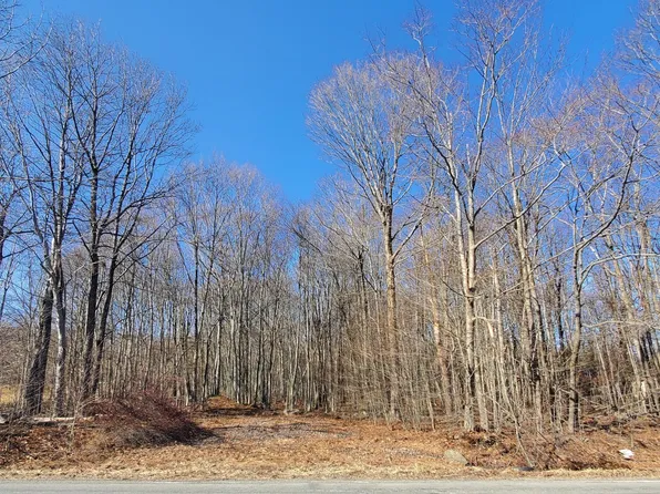 State Highway 247, Forest City, PA 18421