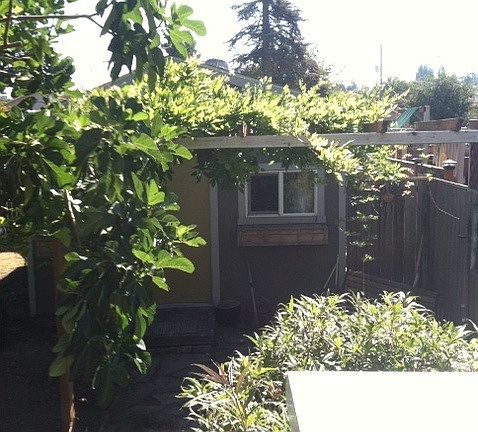 garage from the deck