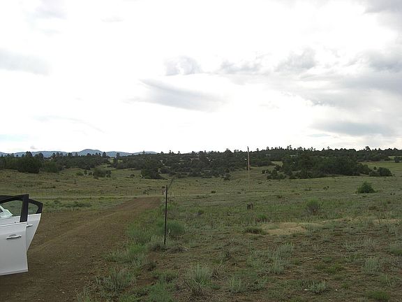 view along lot line to road 