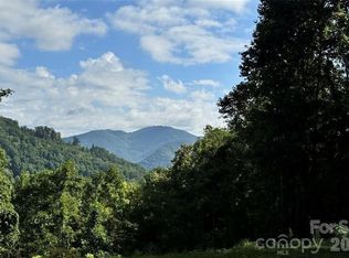 350 Scotts Trl, Hot Springs, NC 28743