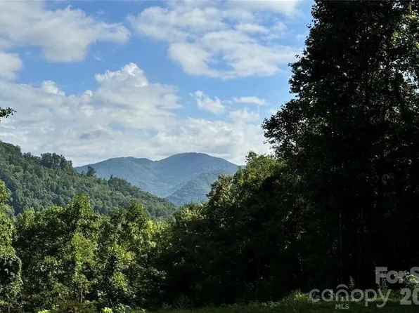 350 Scotts Trl, Hot Springs, NC 28743