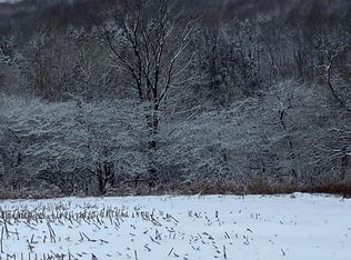 0 Atwood Rd, Moravia, NY 13118