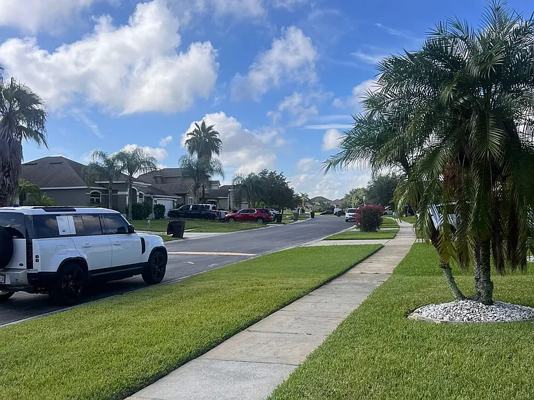 River Birch Dr. view: Peaceful neighborhood with sidewalks and mature palm trees.
