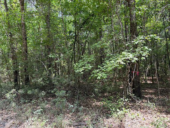 4th image of 0 Toney Bay Rd