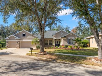 15321 Vireoglen Ln, Lithia, FL, 33547
