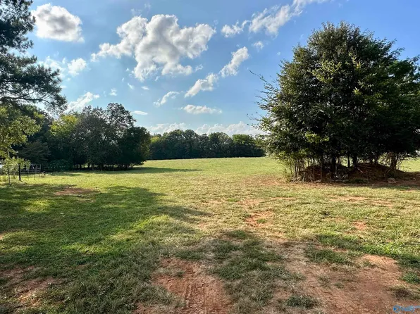 10 W Clearmont Dr, Elkmont, AL 35620