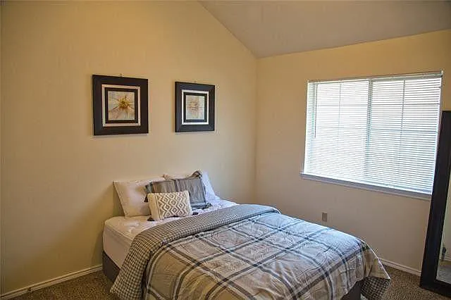 3713 Tulip Tree Dr — Photo 8