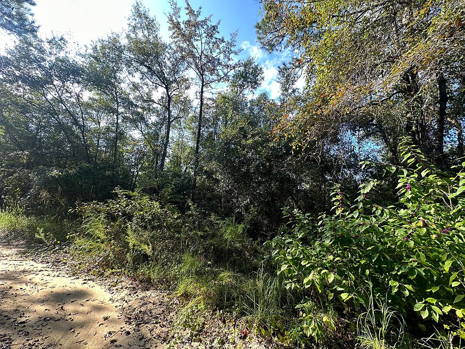 1st image of Carroll Dr