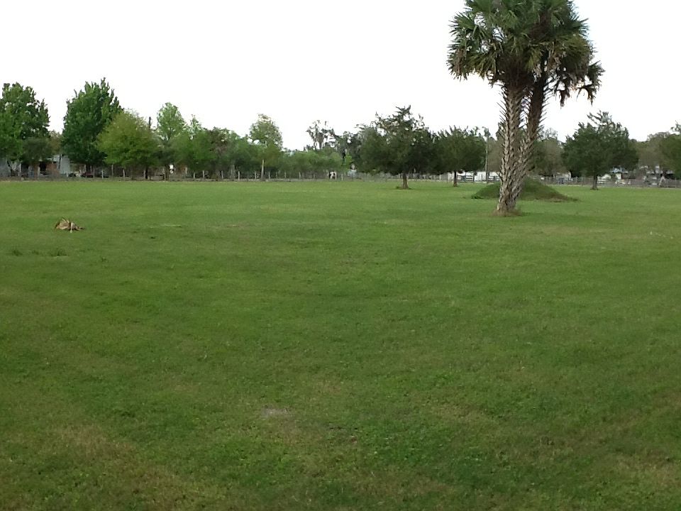 1st image of 940 Archie Dr