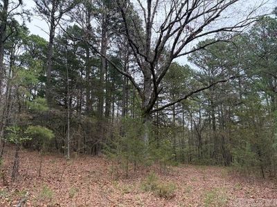 Fs Rd #1436, Clarksville, AR, 72830