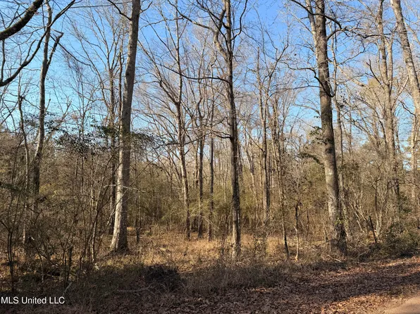 State Highway 28, Hazlehurst, MS 39083