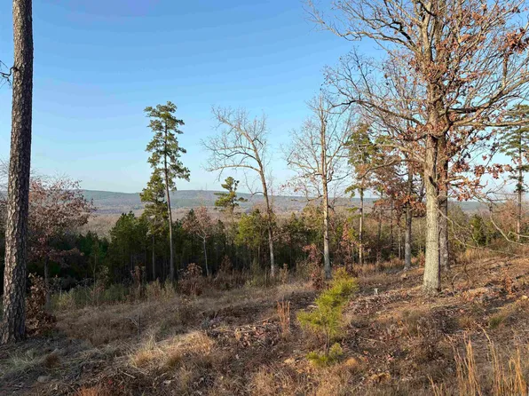 21216 Valley View Cv, Roland, AR 72135
