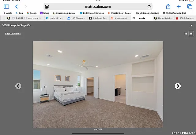 105 Pineapple Sage Cv — Photo 3