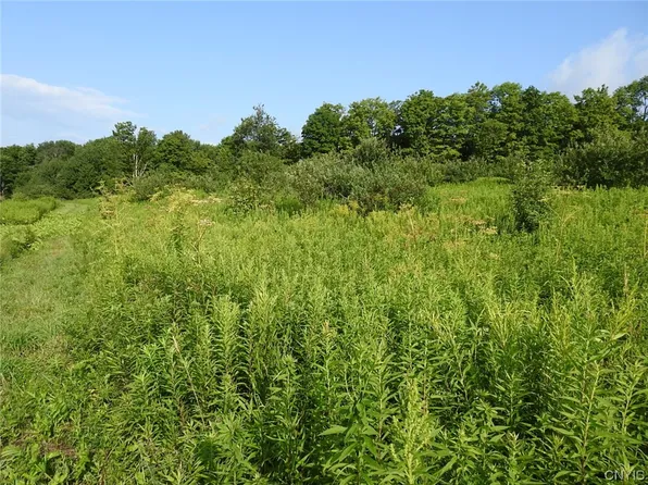 0 Webster Hill Rd #3, Boonville, NY 13309