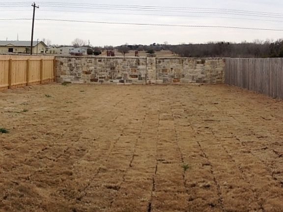 back yard