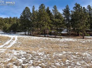 6 Street, Guffey, CO 80820